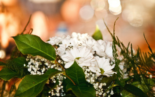 White flower bouquet shallow depth - white flower free wallpaper