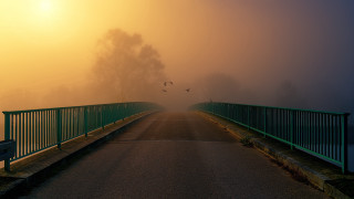 Foggy bridge bench birds cityscape - a foggy day free wallpaper