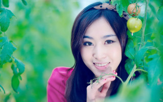 Woman pink shirt holding plant - a pink shirt free wallpaper