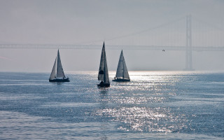 Sailboats bridge bird polarizing impressionist - almada negreiro free wallpaper