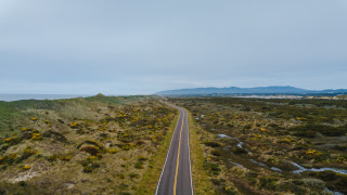 Lush green field yellow flowers 5 - a lush green field next free wallpaper