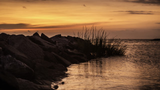 Sunset water rocks grass horizon - rock and grass free wallpaper