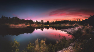 Lake sunset trees pink sky - a pink sky in the background free wallpaper
