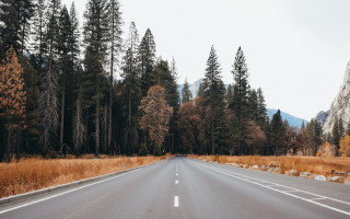 Road trees mountain sky nature - liminal free wallpaper