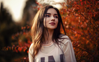 Woman longhair tree autumn leaves - red leaf free wallpaper