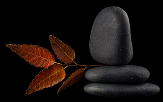 Leaf rocks reflection minimalism 3D - anne geddes free wallpaper for desktop