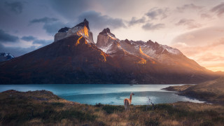 Llama lake mountains sunset clouds - a field next free wallpaper