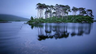 Lake foggy island reflection starry - eric auld free wallpaper