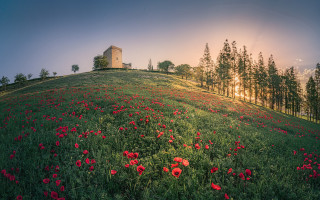 Hill house autumn flower cityscape - far free wallpaper