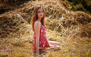 Woman sitting hay field crossed - a field of hay free wallpaper