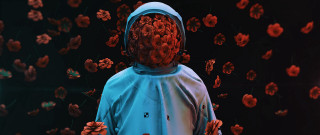 Blue raincoat red flowers blood - artem demura free wallpaper