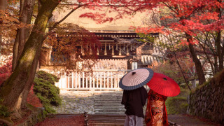 Fall umbrella path japanese architecture - japan eishōsai chōki free wallpaper