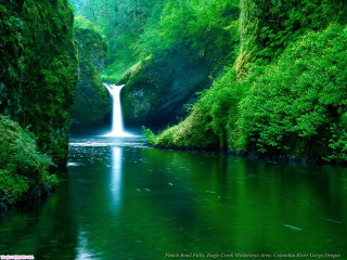 Waterfall green forest stream nature 4 - a green forest free wallpaper for desktop