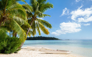 Boat beach palm sky clouds - a palm tree in the background free wallpaper