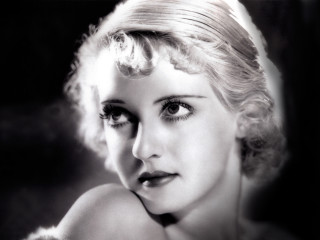 Black white blonde fur portrait - head and shoulders portrait free wallpaper for desktop