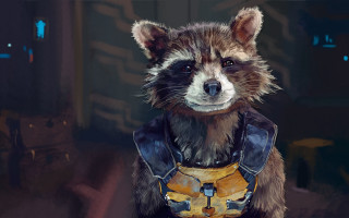 Raccoon leather outfit helmet chest - a leather outfit free wallpaper