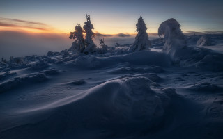 Snowy landscape trees sunset dawn - artur tarnowski free wallpaper