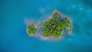 Small island trees ocean fractal - the middle of the ocean free wallpaper