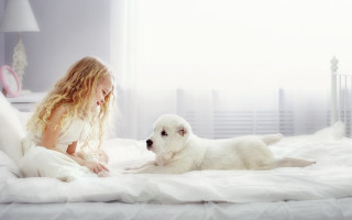 Girl dog bed room white - a white curtain free wallpaper