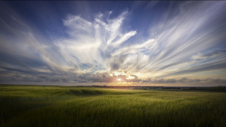 Field sunset light rays cloudy - a field of grass free wallpaper for desktop