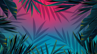 Colorful palm leaves pink sky - hue free wallpaper