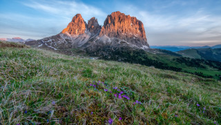 Grassy field flowers mountains sunset - carlo carlone free wallpaper