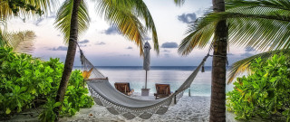 Hammock palm trees beach ocean 3 - a hammock free wallpaper
