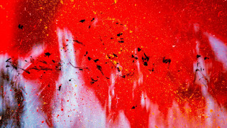 Red black bird fireworks aurora - black dot free wallpaper