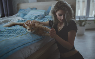 Woman petting cat bedroom blue - romanticism free wallpaper
