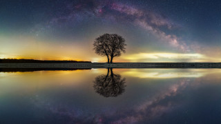 Tree lake night sky stars - free space wallpaper