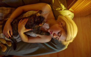 Woman bed cat teddy blonde - canon 5 0 mm free wallpaper for desktop