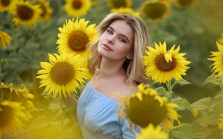 Sunflower field woman portrait blurry - a field of sunflowers free wallpaper for desktop