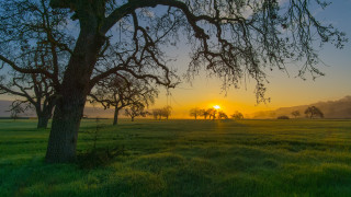 Autumn foggy sunset trees lake - tree and a sun free wallpaper for desktop