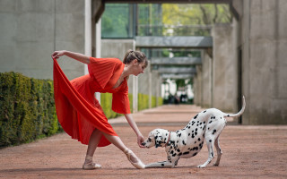Woman red dress dalmatian outdoor - daphne mcclure free wallpaper for desktop