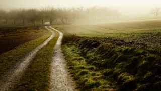 Dirt road truck foggy country - a truck free wallpaper