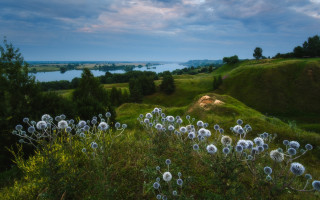 Dandelion field lake mountains cloudy - artur tarnowski free wallpaper