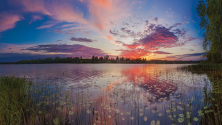 Sunset lake lily pads mystic - a beautiful sunset over a lake free wallpaper