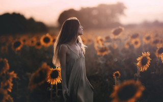 Sunflower woman autumn blurry dusk - brooke shaden free wallpaper