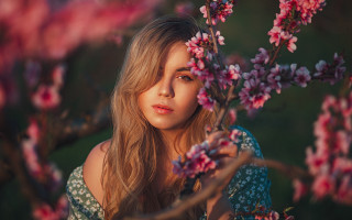 Elina karimova portrait cherry blossoms - the camera free wallpaper for desktop