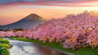 River green field mountain flower - japan aya goda free wallpaper