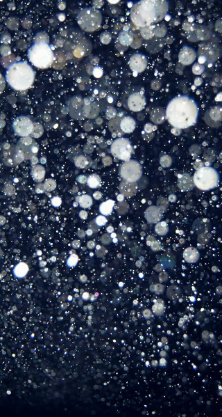 Black background white bubbles blue - fluxus free wallpaper for mobile