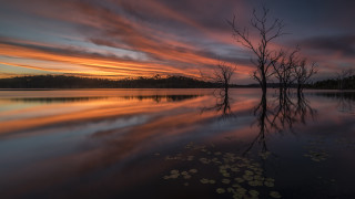 Lake trees sunset clouds leaves - tree and a sunset in the background free wallpaper
