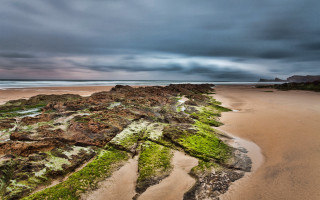 Beach green algae dark sky - green alga free wallpaper