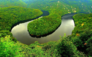 River forest mountain nature puzzle - alen divi free wallpaper