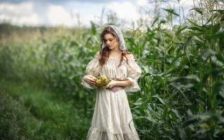 Woman white dress cornfield basket - a white dress free wallpaper for desktop