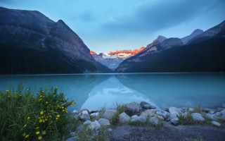 Lake mountains forest sunset flowers - a few flower free wallpaper