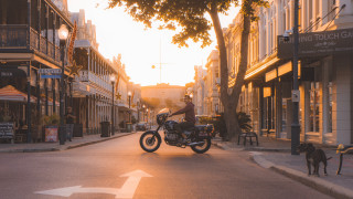Man motorcycle dog street autumn - a street next free wallpaper