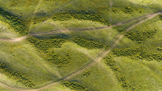 Green field traintrack truck sunflower - free airplane wallpaper