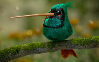 Green bird branch moss photorealistic - ultra realistic digital art free wallpaper