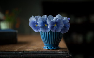 Blue vase flowers table book - a blue vase free wallpaper